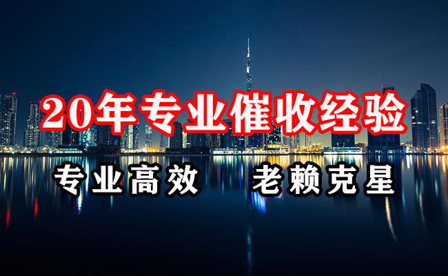 泌阳追账公司